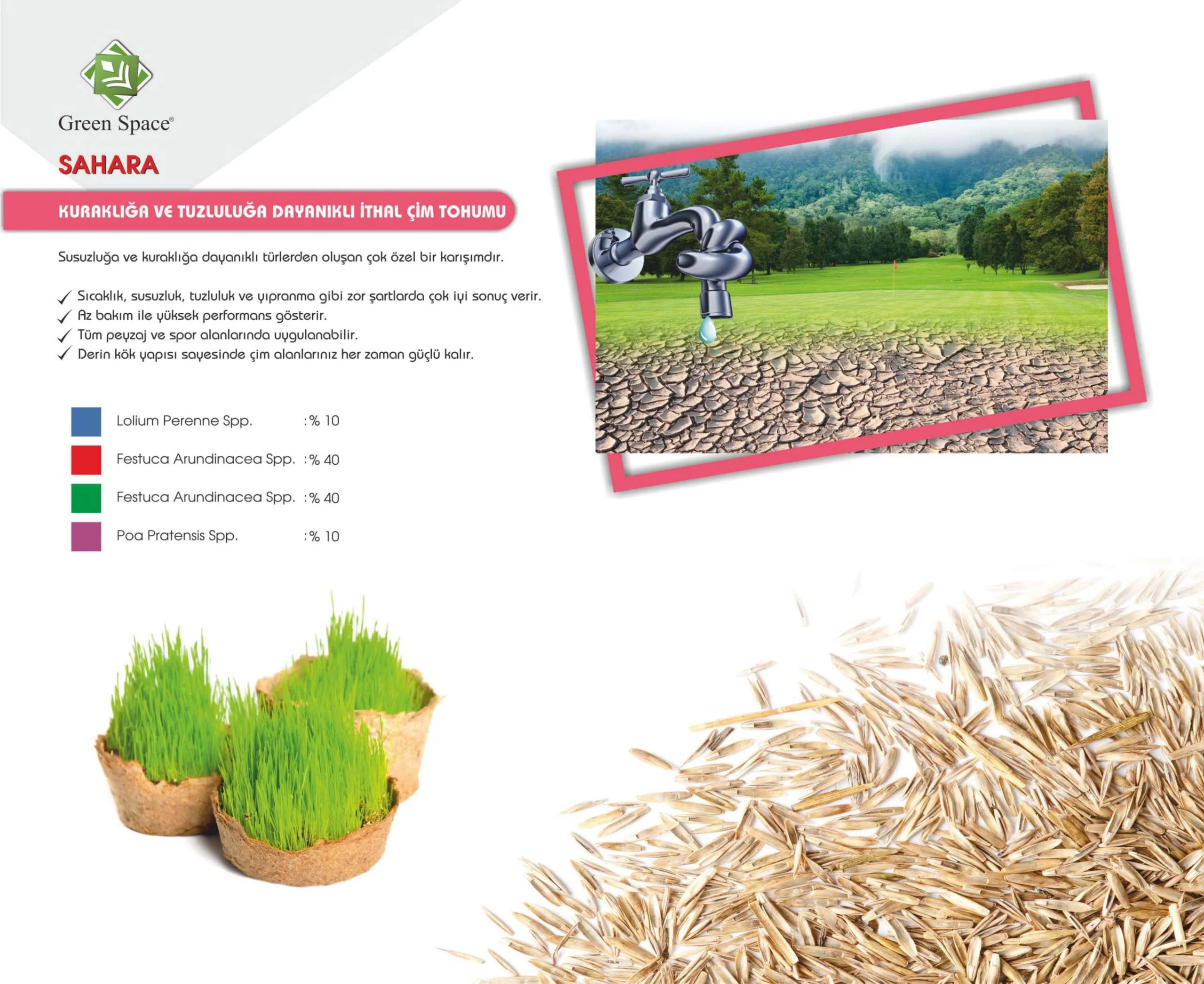 SAHARA (Kuraklığa ve Sıcağa Dayanıklı) 10 kg - Görsel 2
