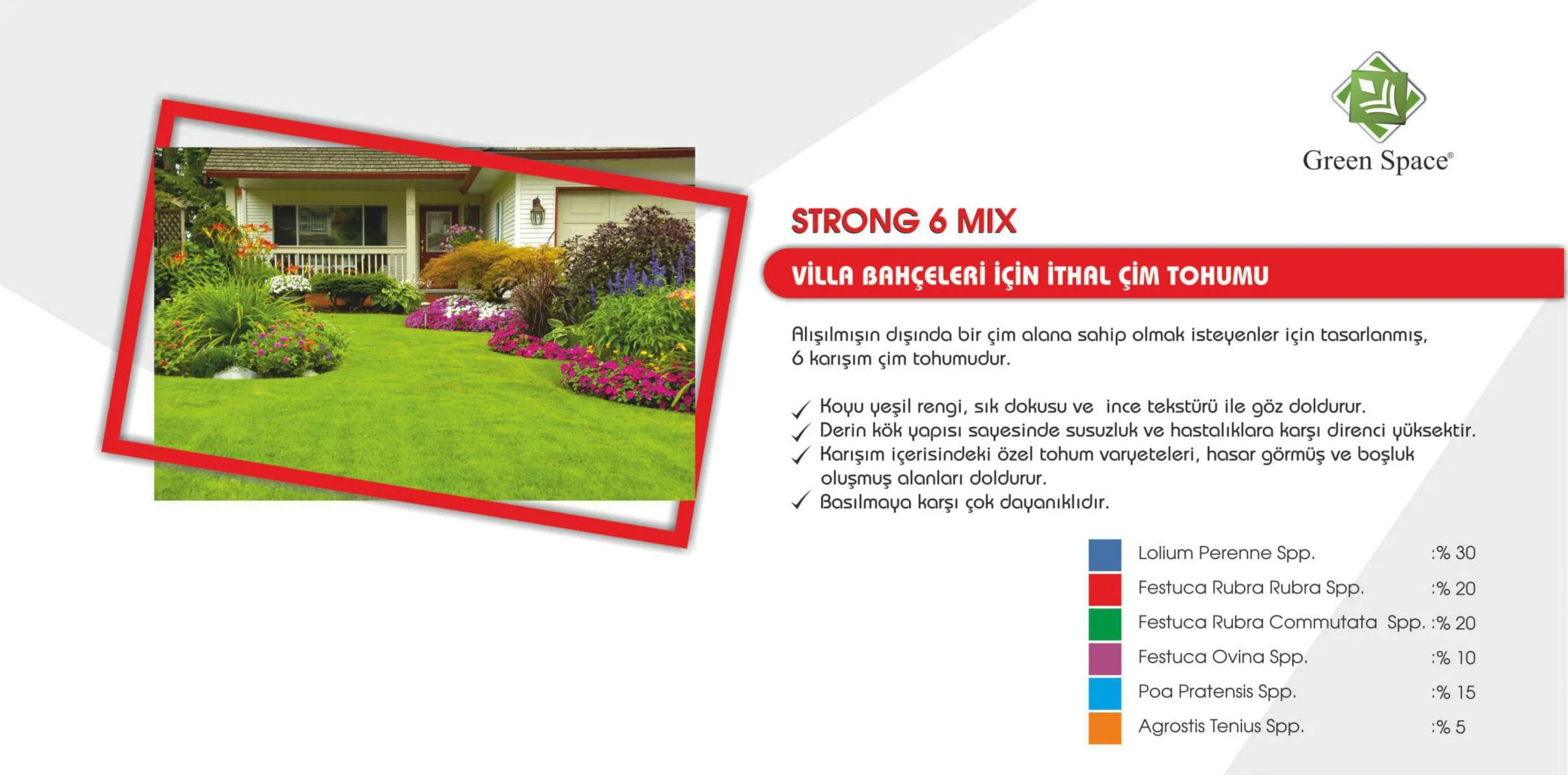 STRONG 6 Mix (Villa Bahçeleri) 1 Kg - Görsel 2